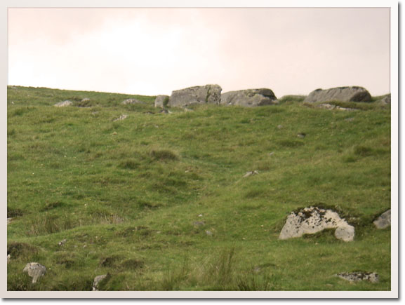 nature photo Dartmoor