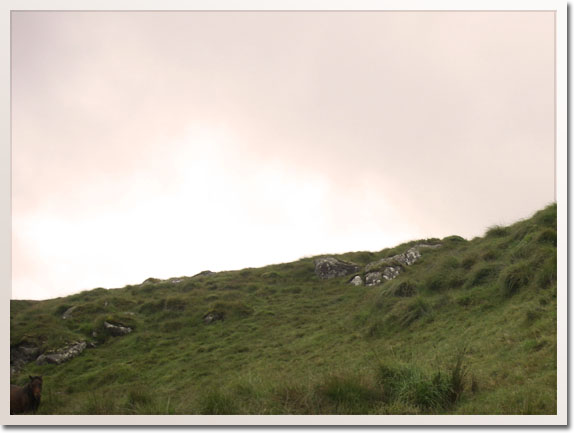 Dartmoor ledgend