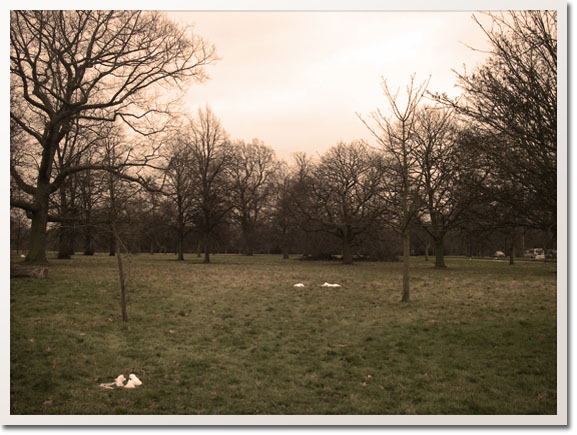 Victorian photo Hyde Park