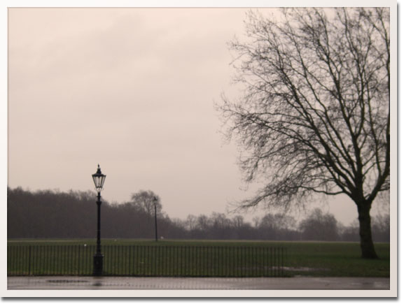 lamppost hyde park fog