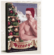 Christmas erotica kinky short story